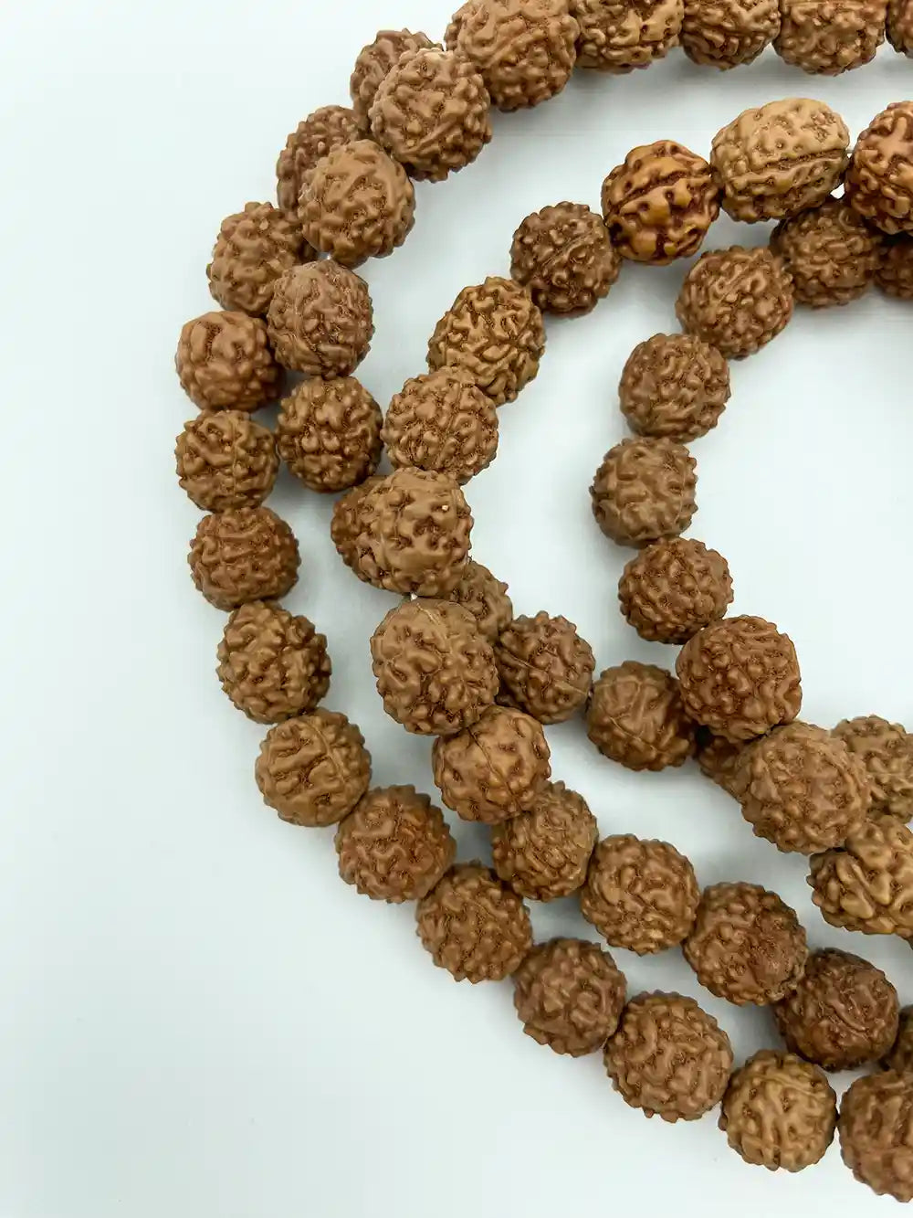 Japamala in Semi Chiari di Rudraksha