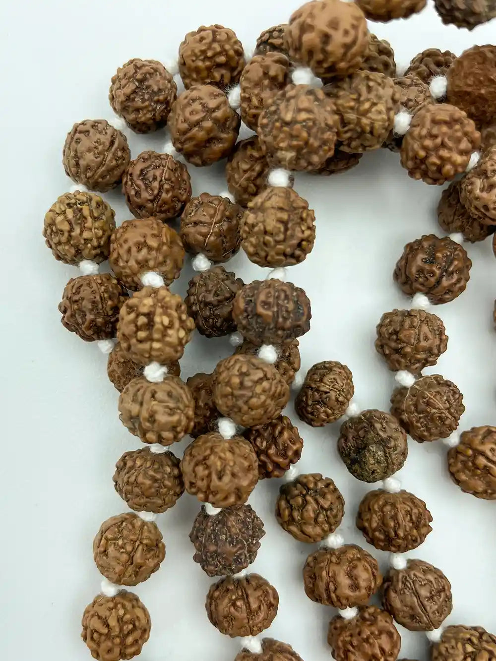 Japamala in Semi Chiari di Rudraksha