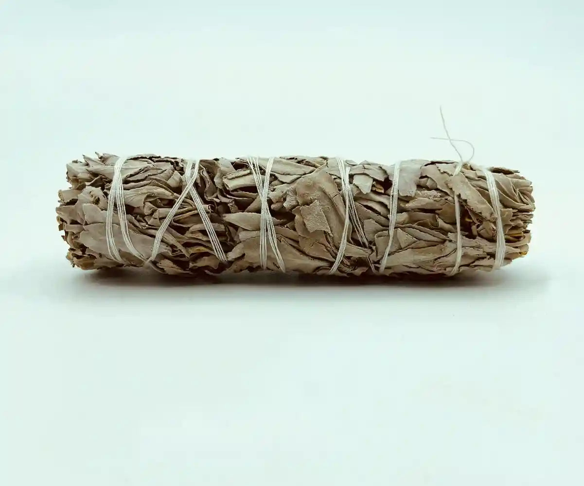 Salvia Bianca Smudge Stick