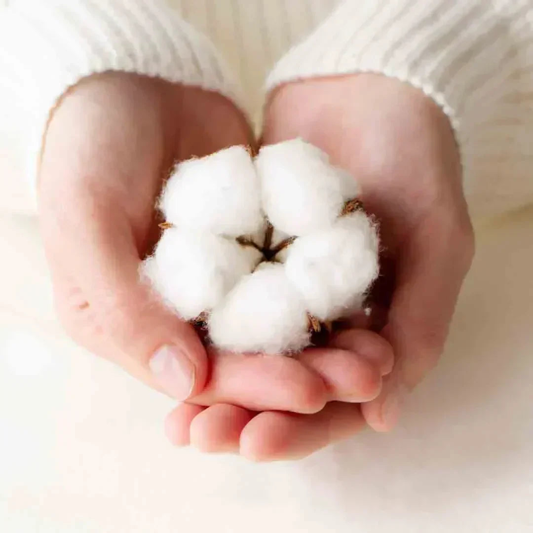 Cotone organico o biologico: di che si tratta e le sue caratteristiche