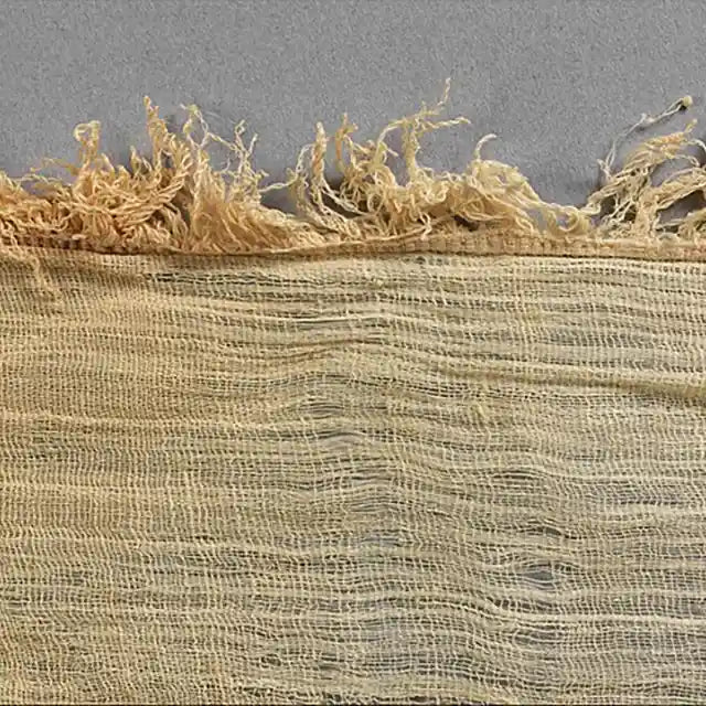 Lino, fibra naturale per eccellenza: benefici e caratteristiche
