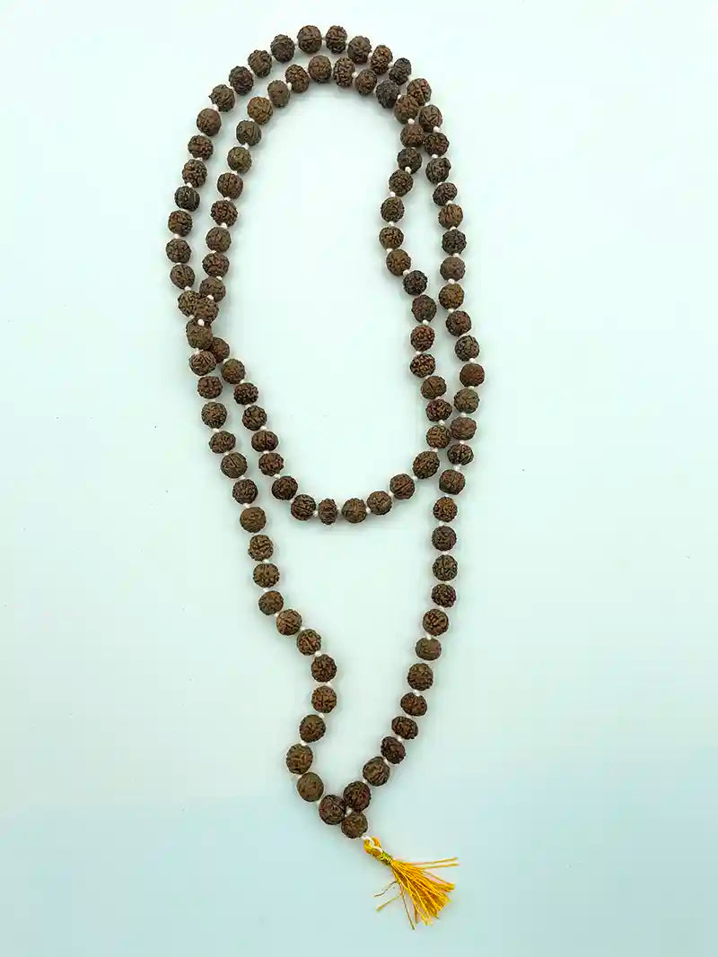 Mala Indiano di Rudraksha