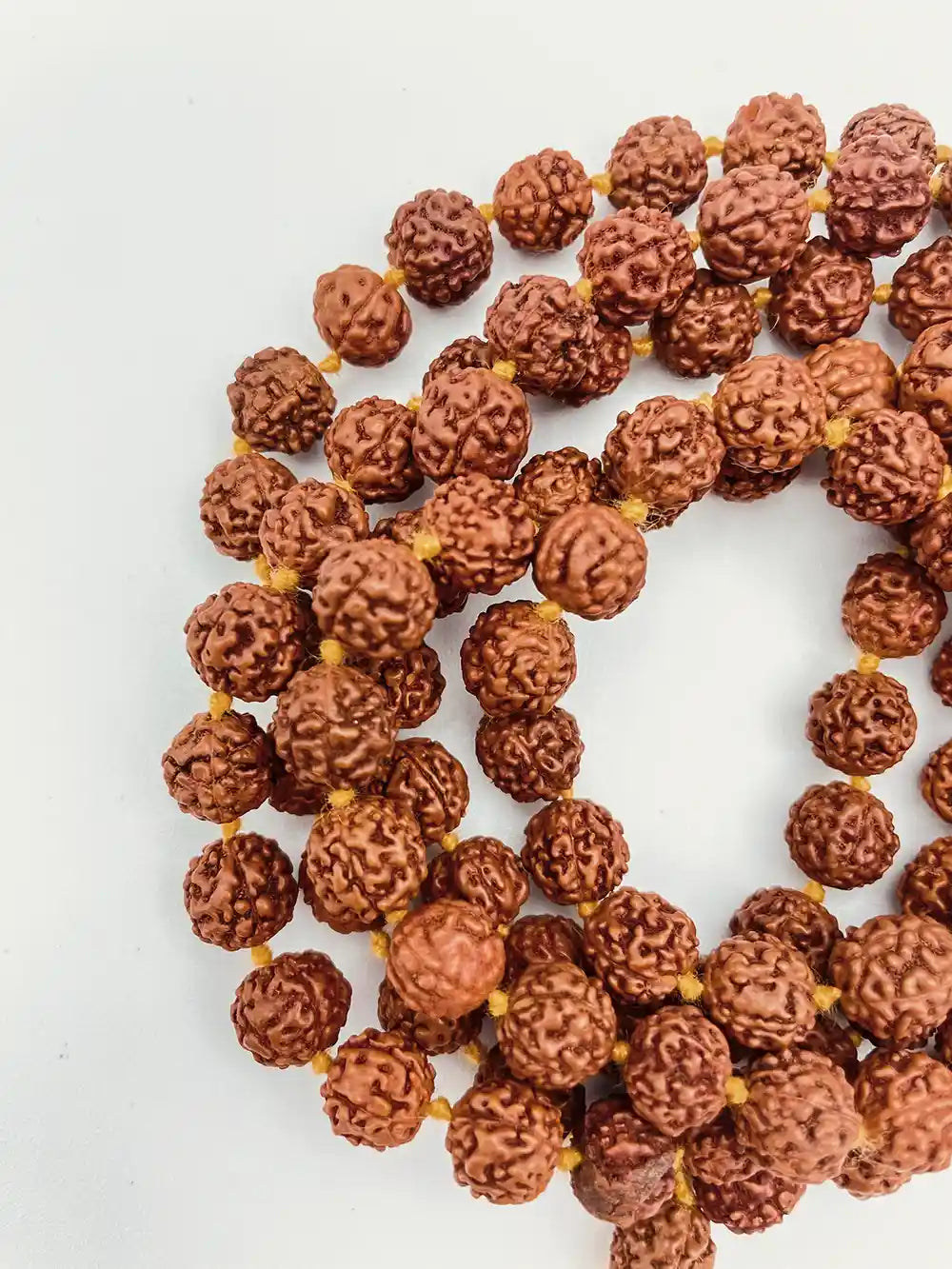 Japamala in Semi Chiari di Rudraksha
