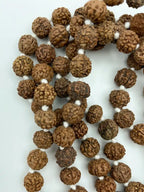 Mala Indiano di Rudraksha