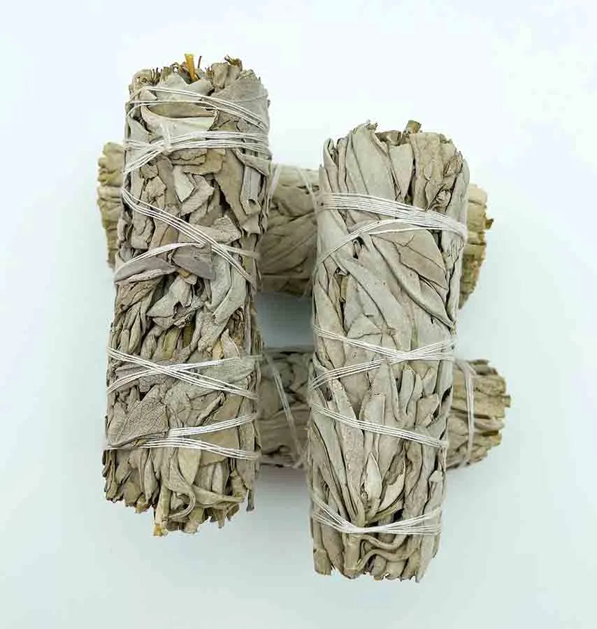 Salvia Bianca Smudge Stick