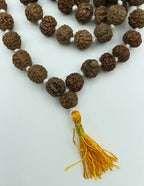 Mala Indiano di Rudraksha